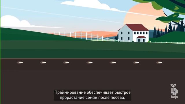 Прайминг и инновационная формула B-Mox® (Би-Мокс®) для семян от компании Bejo Zaden B.V.