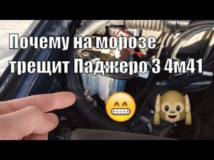 Почему на морозе трещит Паджеро 3 4м41 zexel vrz did дизель?