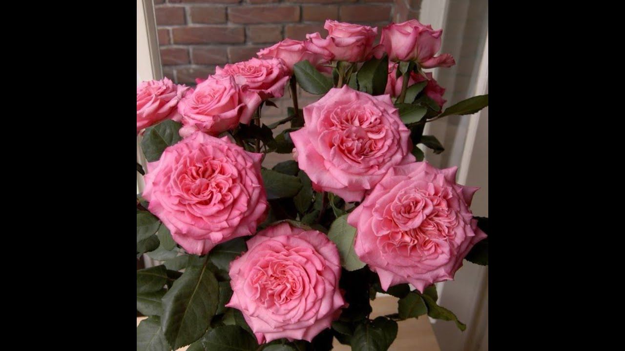 Результаты нашей работы09. 03.2024 смотреть онлайн