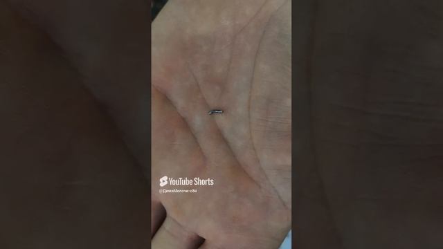 Что мы едим