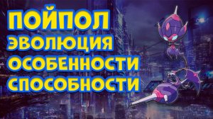 ПОЙПОЛ. ЭВОЛЮЦИЯ, ОСОБЕННОСТИ, СПОСОБНОСТИ