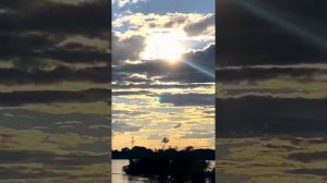 Кайрат Нуртас  - Сени суйем саксофон