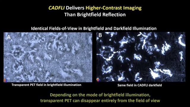 Microplastic Detection Without Nile Red Staining смотреть онлайн