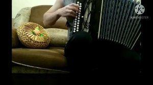 Песни под гармонь. Всем известные мелодии.