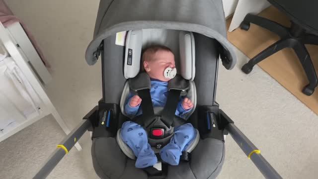 Наша новая коляска Doona Vlog Reborn Doll