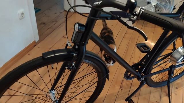 Fixie Inc. Backspin Zehus E-Bike - Upgrades