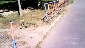 Тотально-слепой человек успешно ищет машины по их цвету и моделям.