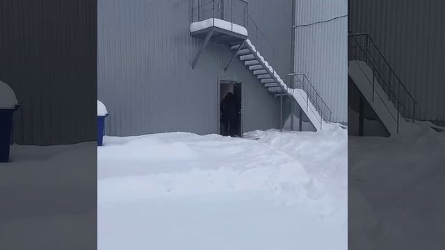 Московская область, городской округ Балашиха, деревня Чёрное, улица Агрогородок, 63 смотреть онлайн