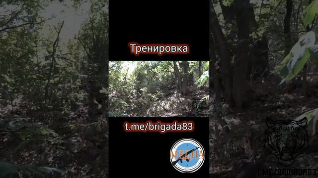 Вьюга. Комбриг 83 бригады