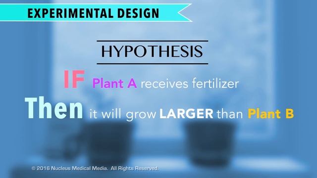 Controlled Experiments смотреть онлайн