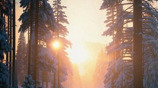 The Black Monk - Путь к весне (2025)