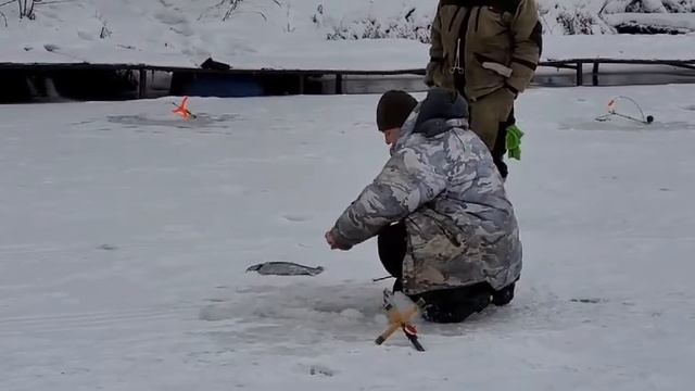 Спорт смотреть онлайн