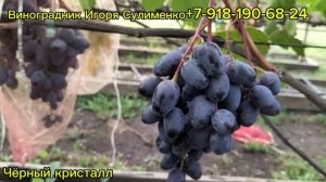 Чёрный кристалл - рыночной виноград