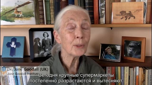 Всемирный день локализации 2021 (4 минуты) смотреть онлайн