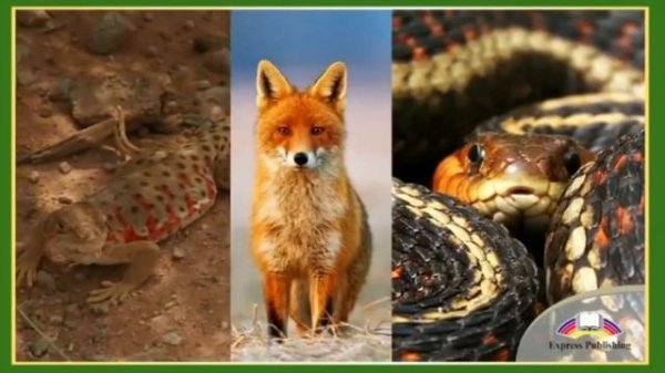 Excel 6 Module 3 c An unforgettable destination p 34