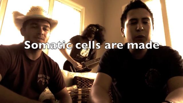 Amber cell bio смотреть онлайн