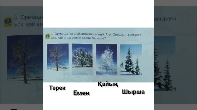 Сөйлеуді дамыту . Қысқы орман. Мектепалды даярлық тобы. смотреть онлайн