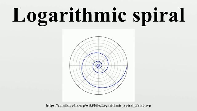 Logarithmic spiral смотреть онлайн