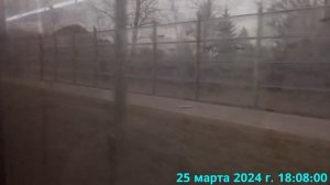 Автобус №145 (г.Красное Село, Октябрьская ул. - А.С.«Кировский Завод») (25 марта 2024г.)