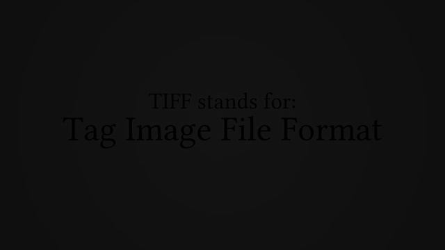 What Does "TIFF" Stand For? смотреть онлайн