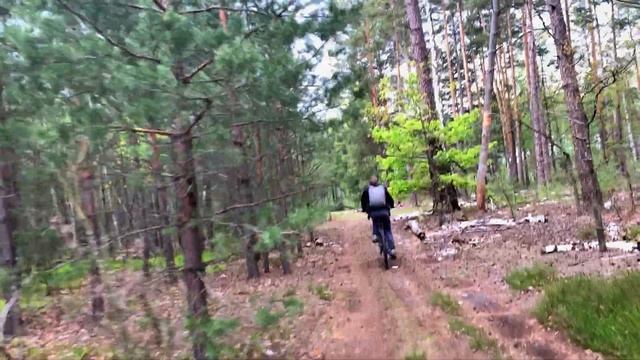 50 км по лесам области смотреть онлайн