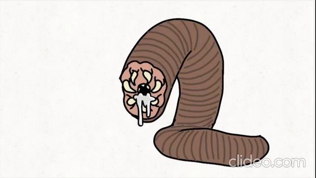 Как победить Червя Памяти? смотреть онлайн
