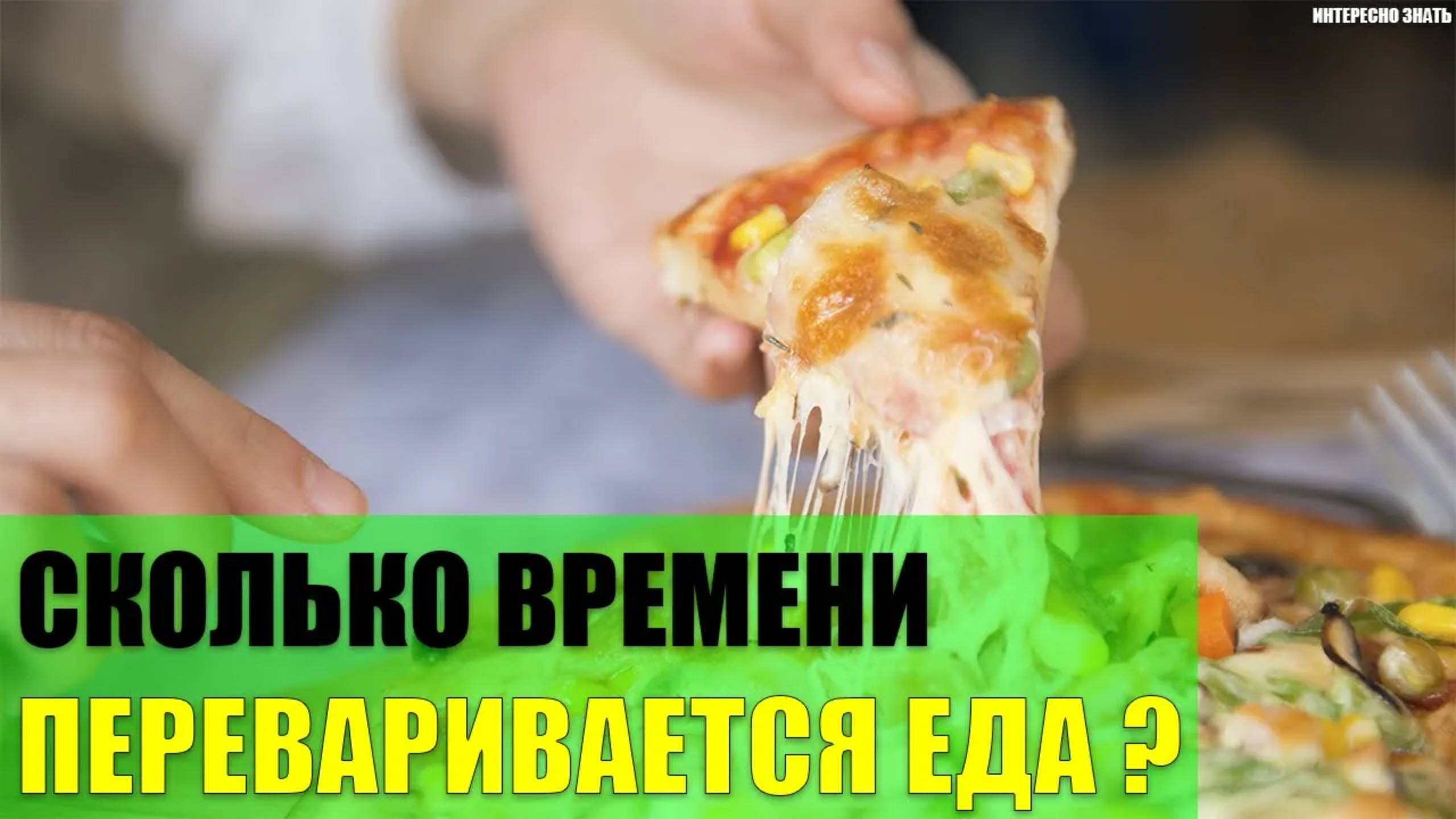 Сколько времени переваривается съеденная еда? смотреть онлайн