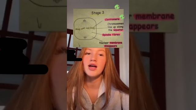 Mitosis 2 смотреть онлайн