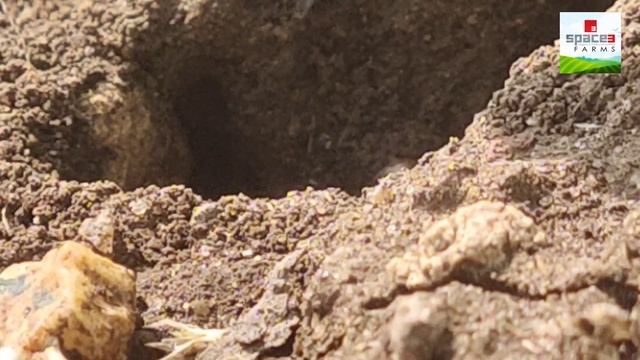 मित्र किट । Useful Insects in Farm l Nature #4k смотреть онлайн