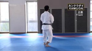 Как выполнять ката Шотокан JKS-Часть 2