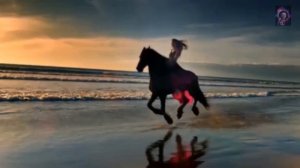 JASPER  MERLE - Samsara Davanala (DJ SHABAYOFF remix)🌞💃🙏