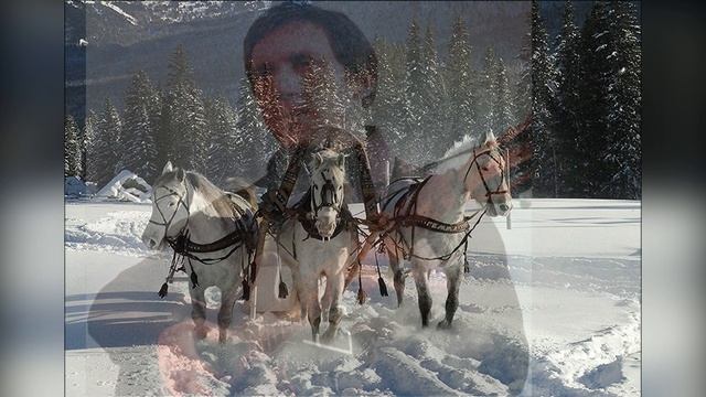 Кони привередливые смотреть онлайн