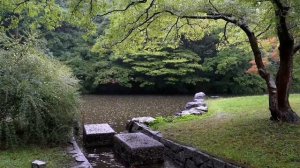 Шум дождя в садовом пруду 🌧️ спокойствие, снятие стресса, сон
