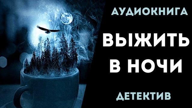 АУДИОКНИГА ДЕТЕКТИВ: ВЫЖИТЬ В НОЧИ СЛУШАТЬ смотреть онлайн