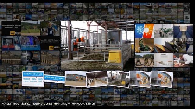 В Московской области запустили молочно товарную ферму на 1200 голов КРС смотреть онлайн