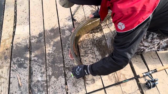 Смотреть до конца смотреть онлайн