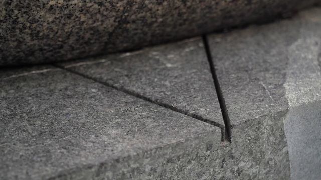 Выставка naturakarelica