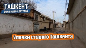 УЛОЧКИ СТАРОГО ТАШКЕНТА. МЕМОРИАЛЬНЫЙ КОМПЛЕКС ХАЗРАТИ ИМАМ #узбекистан #ташкент #двор #дом #детство