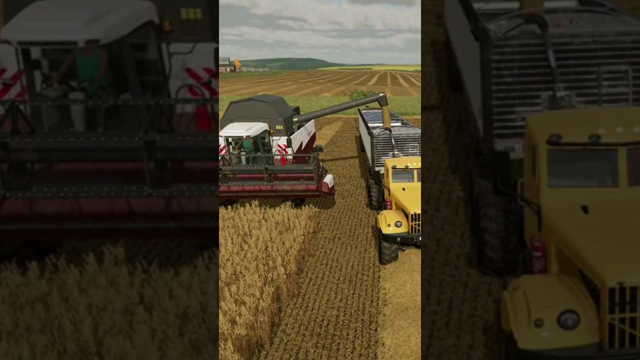ACROS595 ,КРАЗ УБОРКА ПШЕНИЦЫ смотреть онлайн
