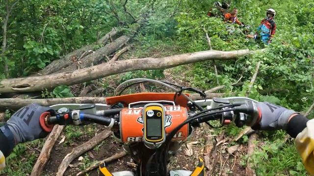 Большой бандой проехали круг смотреть онлайн