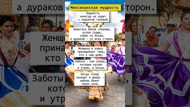 Мексиканская мудрость #мудрыеслова #афоризмы #цитата смотреть онлайн