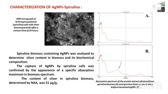 12.10.2022, 9:30 | 5th International Conference on Microbial Biotechnology смотреть онлайн