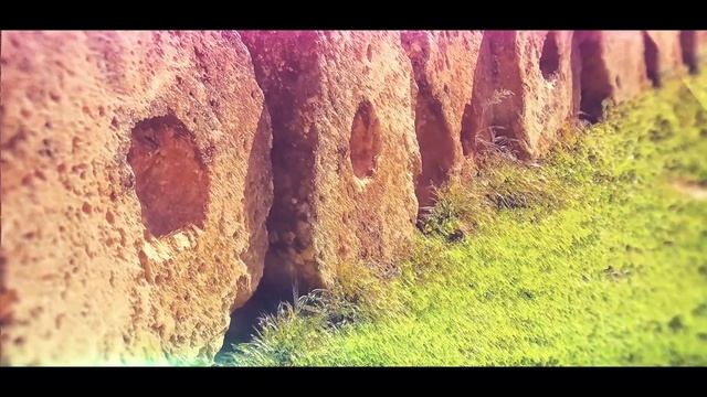 Онлайн-трансляция программы "Мастерская оракула" смотреть онлайн