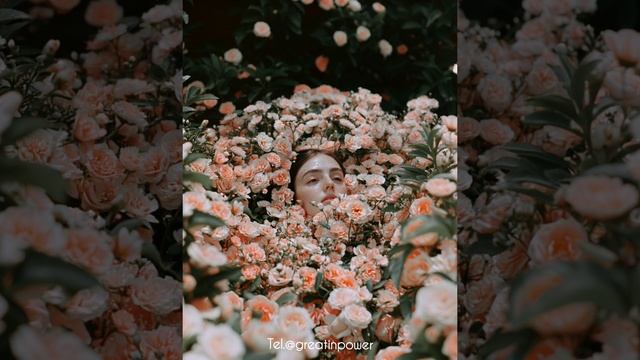 Beautiful And Flowers