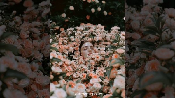 Beautiful and Flowers