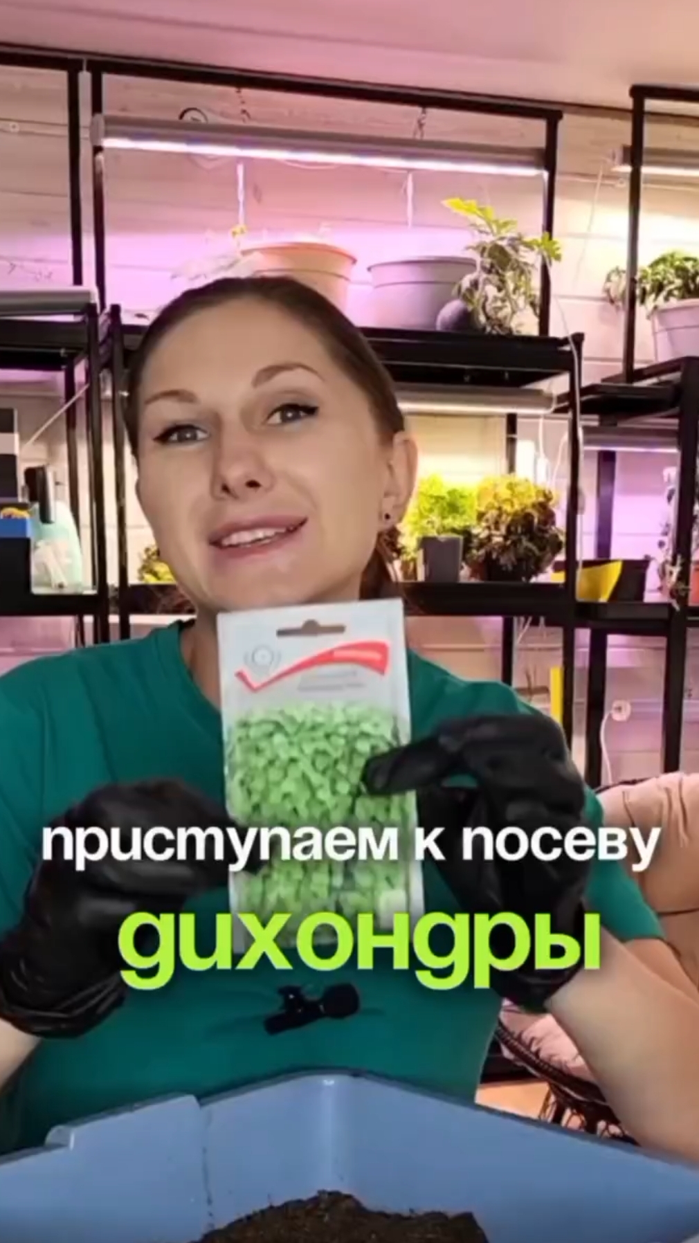 Сеем дихондру ✅ смотреть онлайн