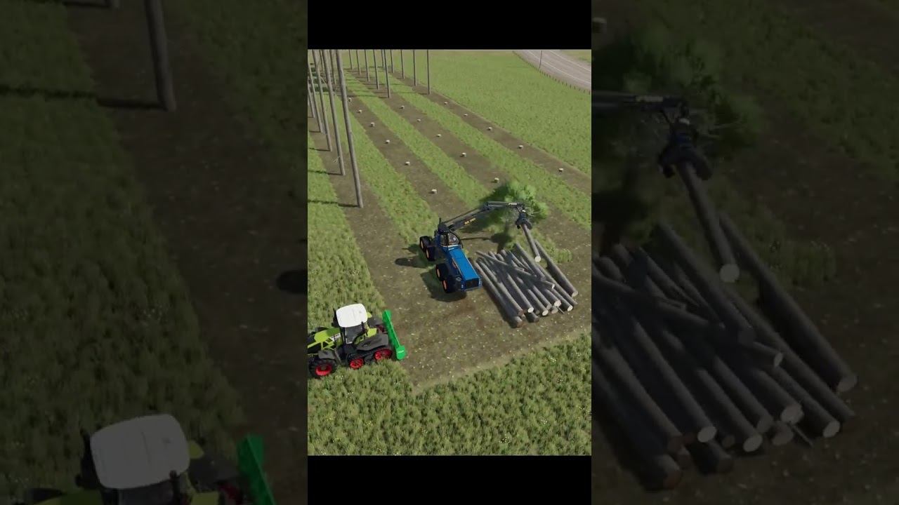 Заготовка леса в Fs22 #farmingsimulator22 #fs22 #automobile #games #cat смотреть онлайн