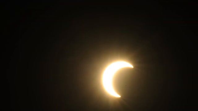 lazy eclipse.wmv смотреть онлайн