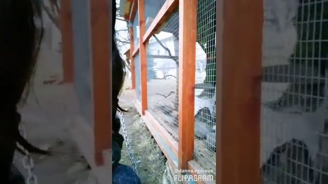 Жители Новоспасского монастыря смотреть онлайн