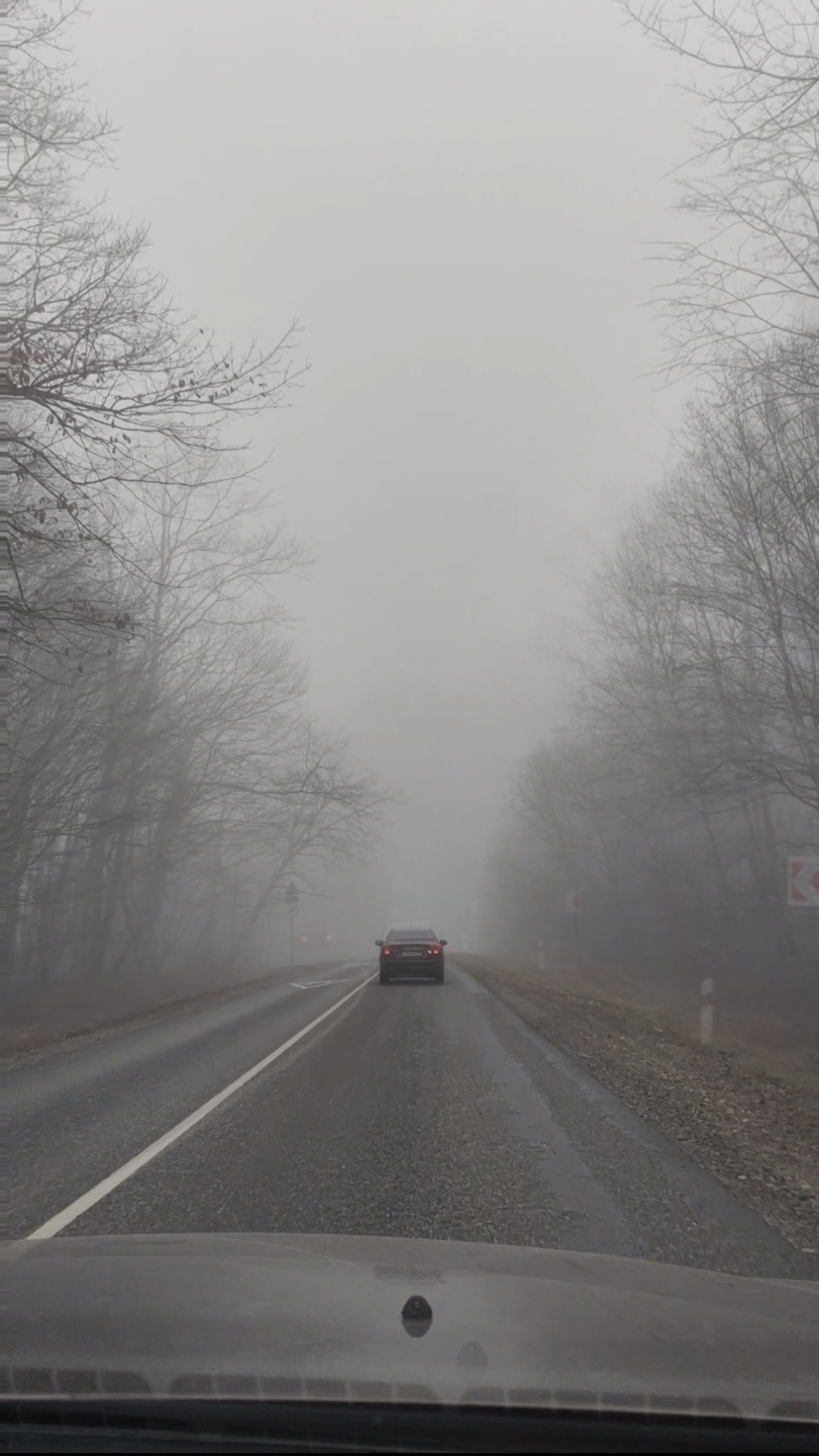Туман на трассе ☁️ смотреть онлайн